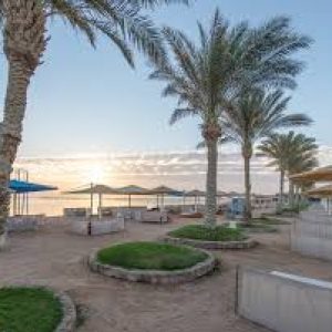 Experience the true meaning of luxury at the Pickalbatros Royal Moderna Resort. create unforgettable moments and an extraordinary holiday experience.