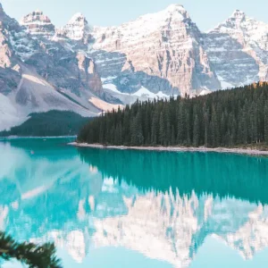 Members Exclusive offers – Save up to 40% off your next trip at travel club