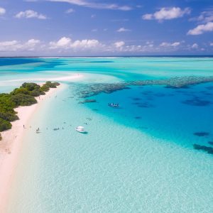 Members Exclusive offers – Save up to 40% off your next trip at travel club
