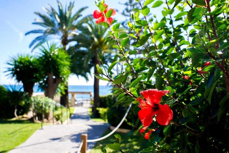 Save 28% off on Málaga, Spain: All-Inclusive Hotel & Return Flights at LivingSocial UK 7 Save 28% off on Málaga, Spain: All-Inclusive Hotel & Return Flights at LivingSocial UK - Image 4