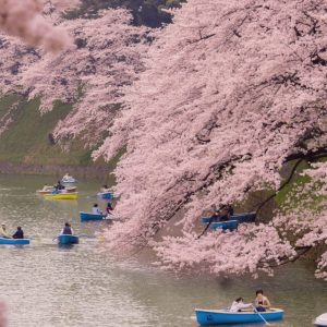 Big Spring Savings – Enjoy 25% Off Selected Hotels for a Trip Over the School Holidays at Expedia UK