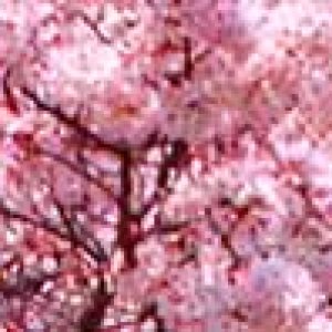 Last-Minute Escapes – Save Up to £400 Per Person on Fully Inclusive Tours Worldwide with Wendy Wu Tours