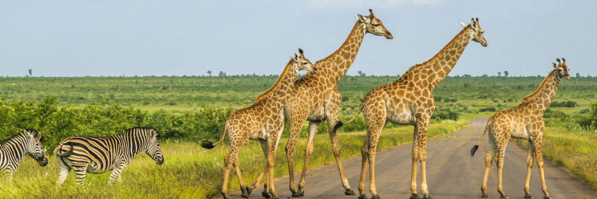 Best deal - Enjoy 15% off on Sensational South Africa experience at Titan Travel 1 Best deal - Enjoy 15% off on Sensational South Africa experience at Titan Travel