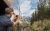 Summer Savings – Up to £500 Off Per Couple on Select Tours at Travelsphere.co.uk!